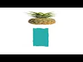 Big flappy tower tiny square level s2 in 41 367