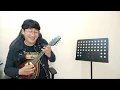 Download Lagu MODERN - RHOMA IRAMA - MANDOLIN INSTRUMENT