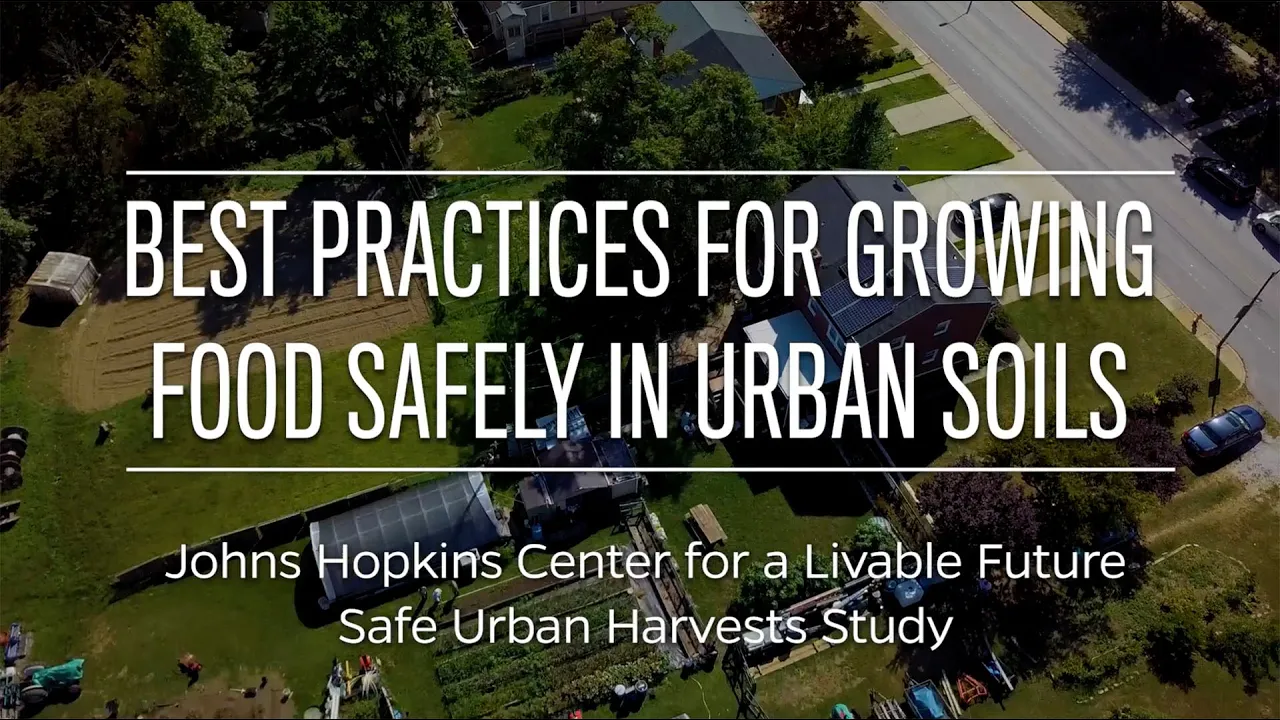 Best Practices for Growing Safely in Urban Soils