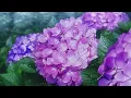 sabrina claudio - stand still (slowed//reverb)