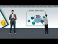 26 - Nested Entities Money Laundering
