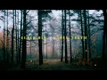 elias hix - paper teeth (slowed + reverb)
