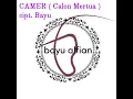 Lagu CAMER ( Calon Mertua ) - lirik lagu - lagu romantis - #laguterbaru - lagu viral