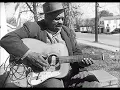 Big Joe Williams - My Baby Left Me a Mule To Ride
