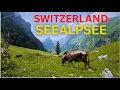 Download Lagu How this swiss mountain lake surprised me @lonelywalkeruniversal