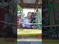 hebat!!! dalang cewek!! dlm pementasan wayang tradisional bali #viral #shortviral
