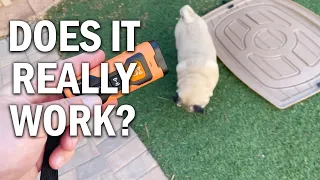 NPS 2023release Dog Bark Deterrent Device Review - Does It Really Work