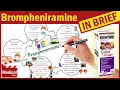 Brompheniramine Maleate Dimetapp What is Brompheniramine Dimetapp for Cold and Cough Allergy