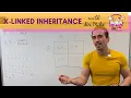 X-linked Inheritance and Punnett Squares
