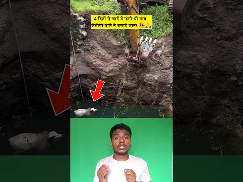 गुजरात में जेसीबी ड्राइवर ने बचाई बेजुबान गाय की जान, इंसानियत की मिसाल! 🚜🐄