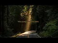 Download Lagu Witt Lowry - Into Your Arms (s l o w e d + r e v e r b)