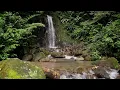 Download Lagu Suara Alam Sungai Menenangkan 🌿 | Relaxing River Sounds for Sleep, Meditation \u0026 Stress Relief\
