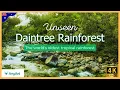 Lagu Onzichtbaar Daintree Regenwoud – Het Oudste Tropische Regenwoud ter Wereld | Natuurdocumentaire 4K