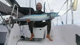 Spearfishing Wahoo from a Sailboat!