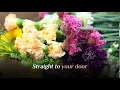 Sami Sacha Flowers