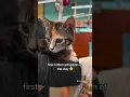 Visiting FurKids Atlanta During PetSmart Charities National Adoption Week