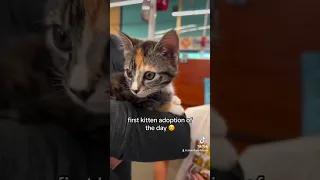 Visiting FurKids Atlanta During PetSmart Charities National Adoption Week