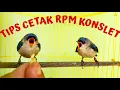 Download Lagu CARA MERAWAT RAMBATAN PARUH MERAH RPM ANAKAN AGAR CEPAT GACOR KONSLET