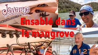 #127 Ensablé dans la mangrove, Kenya 🇰🇪