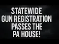 LIVE 2 bills DEAD Statewide Gun Registration Passes