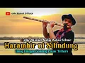 Lagu HARAMBIRNI SILINDUNG | ALDO SIJABAT SULIM BATAK ETHNIC | LAGU OPERA BATAK | TERBARU 2025