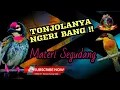 Lagu Tonjolanya Ngeri Bang ‼️ MASTERAN Dengan Materi Segudang...
