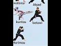 Download Lagu silat kuntau #silatkuntah #kuntau #fights