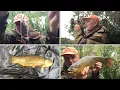 Download Lagu 🎣 Ging karpervissen, ving zeelt, maar ik was tenminste geen blanker