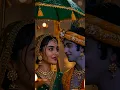 Download Lagu Radha Madhav Kunj Bihari  #love#bankebiharilivedarshan #bankebiharishridham Vrindavan #radhakrishna
