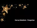 Download Lagu Harvey Malaiholo - Pengertian (LIRIK)