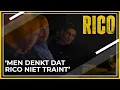Download Lagu Badr heeft allang gevoeld wat Rico kan aanrichten | RICO