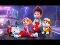 ¿Marshall, por favor despierta? ¿Qué pasó? ¡No dejes a Paw Patrol! | PAw PAtrol en Español