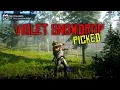 RDR2 Online - The Best Violet Snowdrop locations