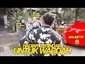 Download Lagu KASIH ISTRI KADO MOBIL IMPIAN