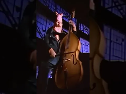 The music video for “Mr. Krinkle” from our album Pork Soda. Full video on our YouTube.