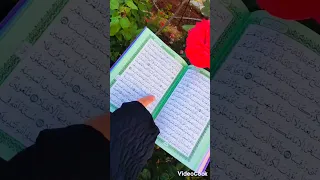 يامن خيركن الله بين جمال الدنيا 