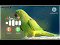 Mobile phone ringtone Notification Ringtone SMS Ringtone Message Ringtone SMS Sound