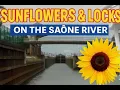 Download Lagu LOCKS, SUNFLOWERS \u0026 SAILING THE SAÔNE RIVER