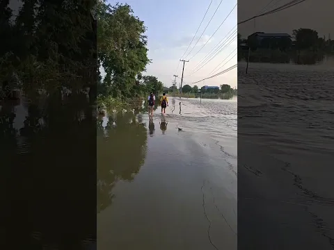 เดินลุยน้ำต้องระวังให้ดีๆ