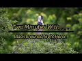 Download Lagu Two Minutes With ... The Black Crowned Night Heron.