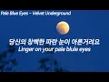 [Play] 건조하면서도 다정한 노래 | Velvet Underground - Pale Blue Eyes(가사해석포함)