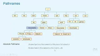 Linux Command Line Bash Shell Scripting AWK SED on Linux Absolute and Relative Pathanames