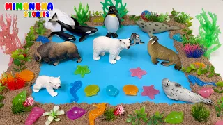 ¡Adivina el ANIMAL! 🌍 6 Escenarios MAGICOS: Granja, Mar, Polo, Bosque y mas | Mimonona Stories