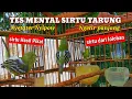Lagu SIRTU GACOR TARUNG. Tes mental sirtu muda hutan,sirtu bahan,sirtu hasil tangkapan hutan