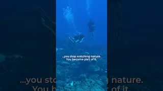 Nothing Could Have Prepared Us for This 🦈