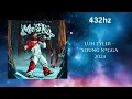 Luh Tyler - Young N*gga (432hz)