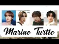 Download Lagu [THAISUB/แปล] NCT U 엔시티 유 - Marine Turtle (Korean Version) #มายน์ไทยซับ