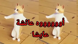 اغنية باسم عائشة عائشه عايشا الحلوة السعودية الكويت تركيا العراق قطر البحرين الجزائر دبي جده الرياض 