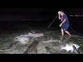 Download Lagu Hari ke 22 Detik-detik Bertemu Rombongan IKAN HIU \u0026 IKAN PARI 😱