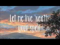 You do something to me - Cole Porter (Lyrics)